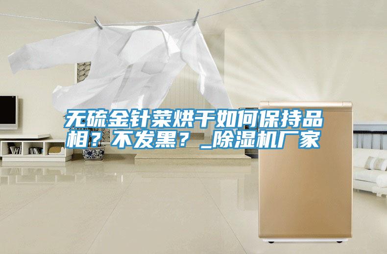 無硫金針菜烘干如何保持品相?不發黑?_除濕機廠家
