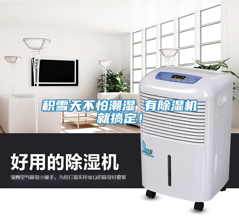 積雪天不怕潮濕 有除濕機就搞定！