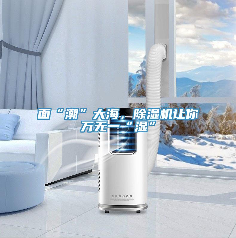 面“潮”大海，除濕機(jī)讓你萬無一“濕”