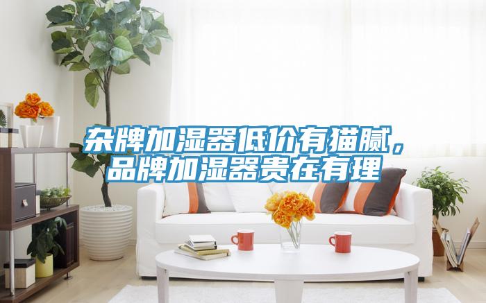 雜牌加濕器低價(jià)有貓膩，品牌加濕器貴在有理
