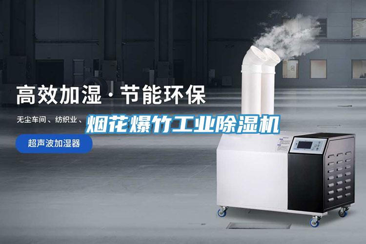 煙花爆竹工業除濕機