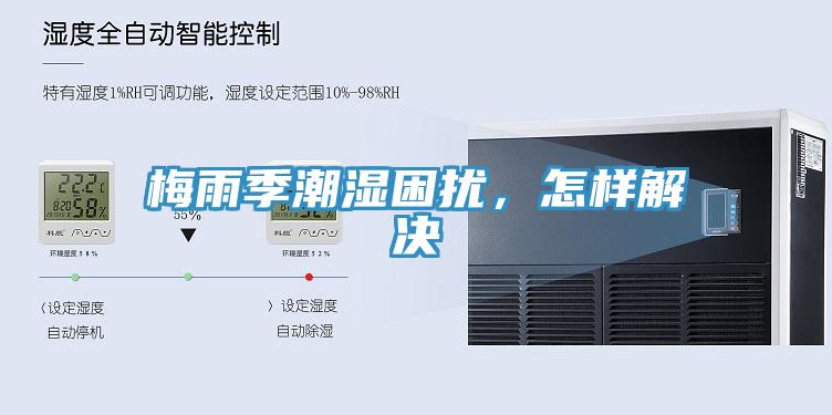 梅雨季潮濕困擾，怎樣解決