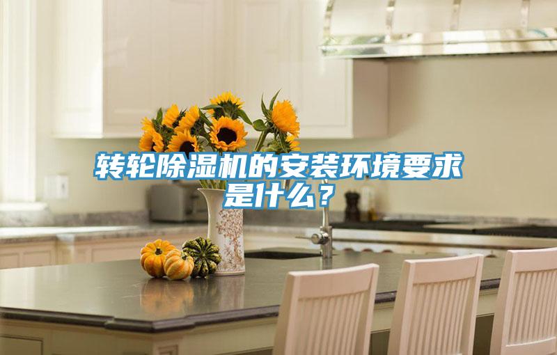 轉(zhuǎn)輪除濕機(jī)的安裝環(huán)境要求是什么？