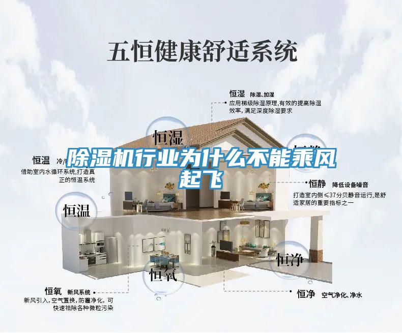 除濕機行業為什么不能乘風起飛