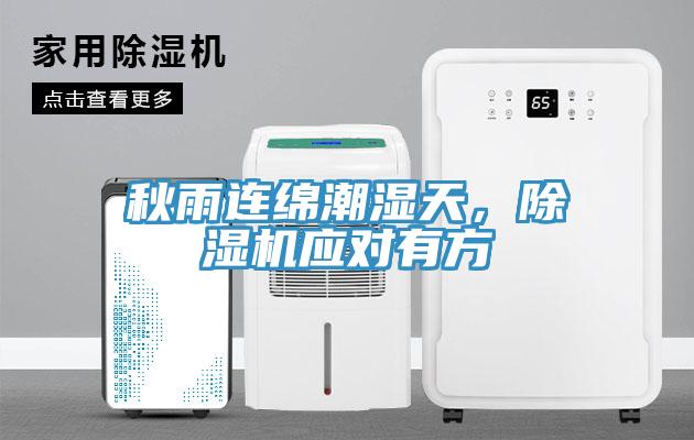 秋雨連綿潮濕天，除濕機應對有方