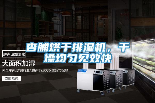 杏脯烘干排濕機(jī)，干燥均勻見效快