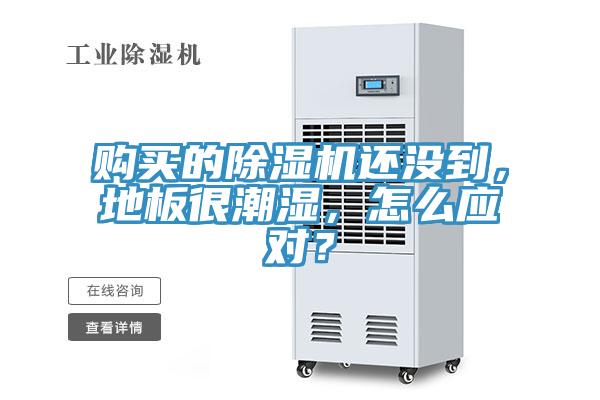 購買的除濕機還沒到，地板很潮濕，怎么應對？