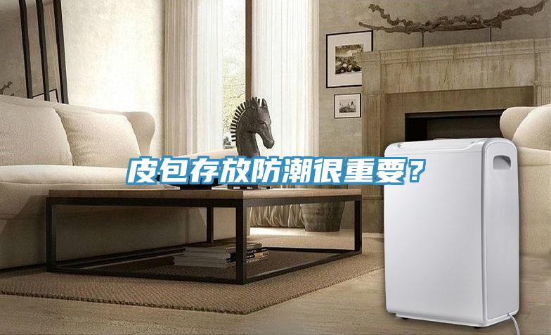 皮包存放防潮很重要？