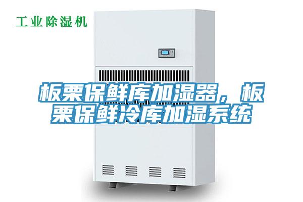 板栗保鮮庫加濕器，板栗保鮮冷庫加濕系統