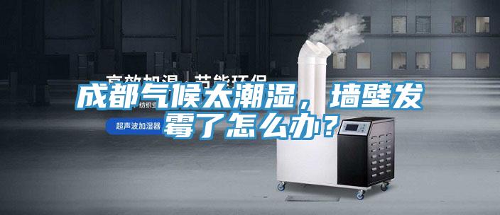 成都氣候太潮濕，墻壁發霉了怎么辦？