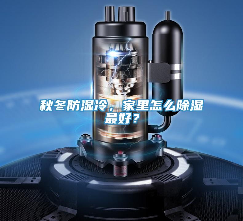 秋冬防濕冷，家里怎么除濕最好？