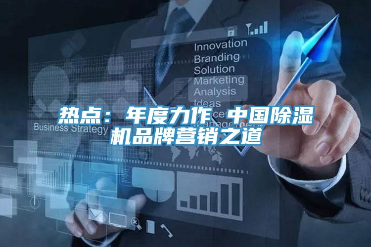 熱點：年度力作 中國除濕機(jī)品牌營銷之道