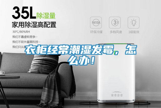 衣柜經(jīng)常潮濕發(fā)霉，怎么辦！