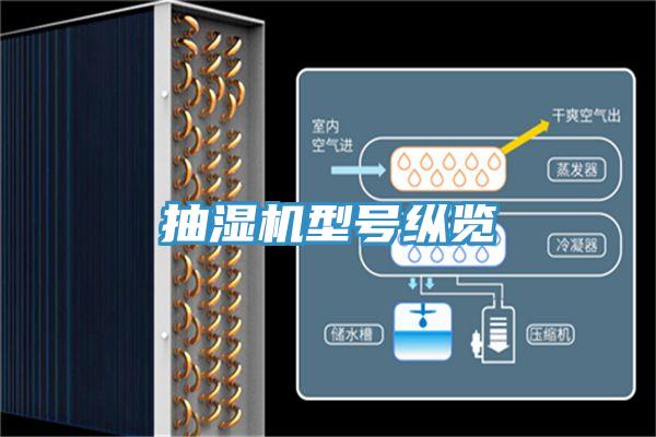 抽濕機(jī)型號(hào)縱覽