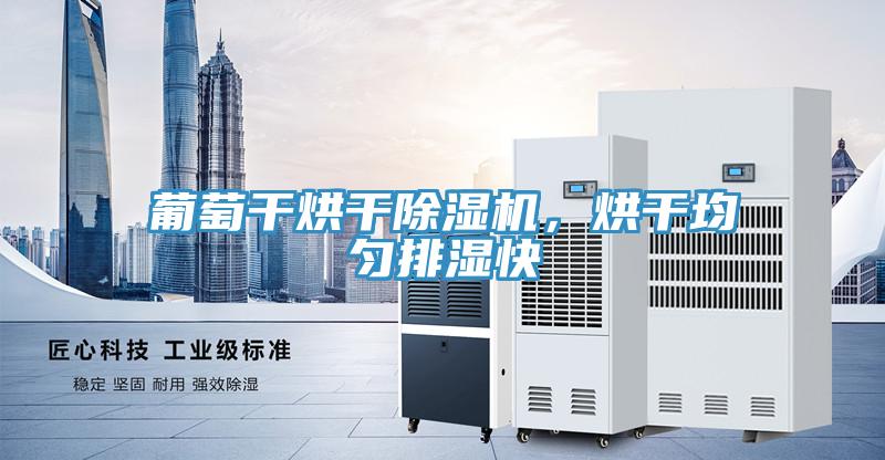 葡萄干烘干除濕機(jī)，烘干均勻排濕快
