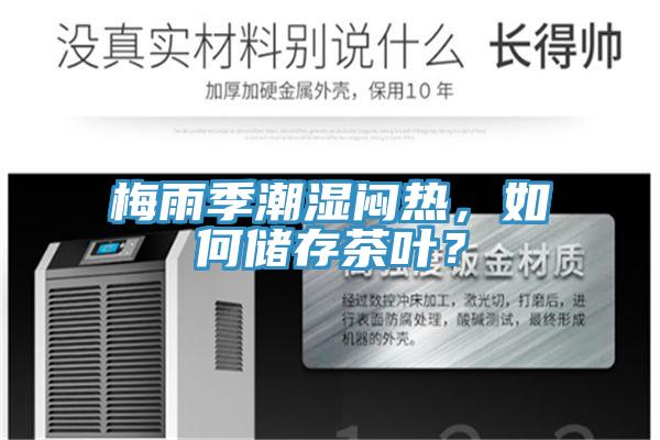 梅雨季潮濕悶熱，如何儲存茶葉？