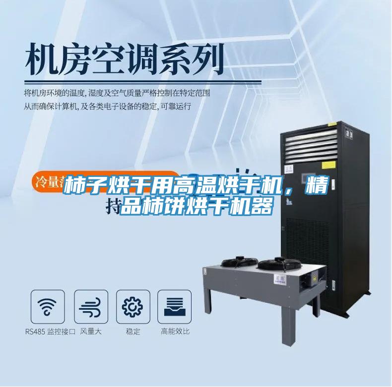 柿子烘干用高溫烘干機，精品柿餅烘干機器