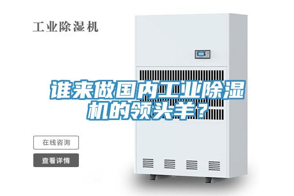 誰(shuí)來(lái)做國(guó)內(nèi)工業(yè)除濕機(jī)的領(lǐng)頭羊？