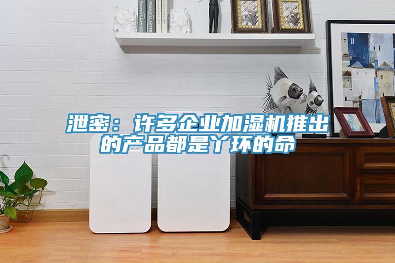 泄密：許多企業加濕機推出的產品都是丫環的命