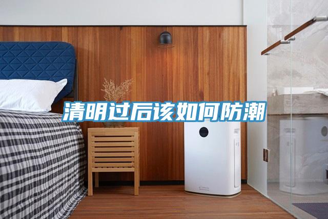 清明過后該如何防潮