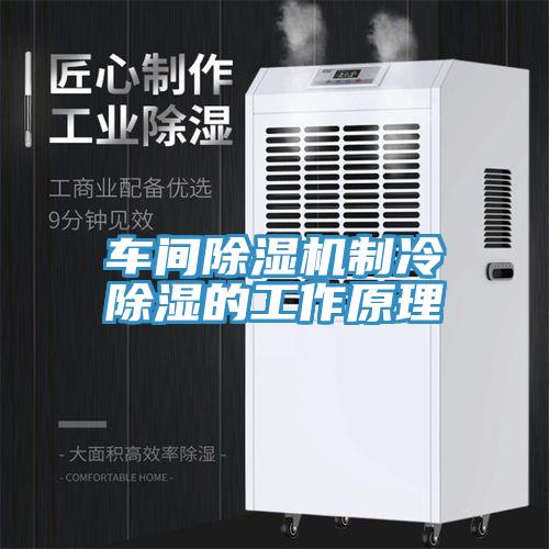 車間除濕機制冷除濕的工作原理