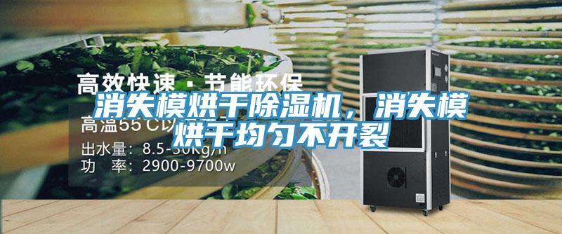 消失模烘干除濕機(jī)，消失模烘干均勻不開裂