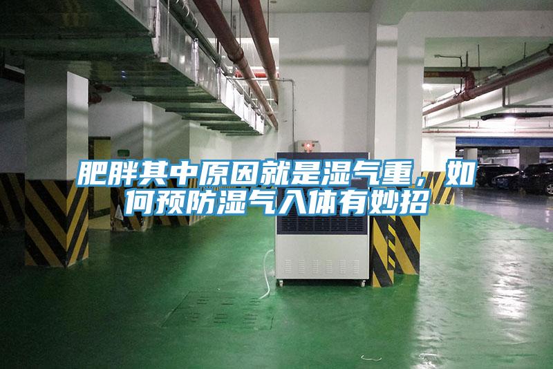 肥胖其中原因就是濕氣重，如何預防濕氣入體有妙招