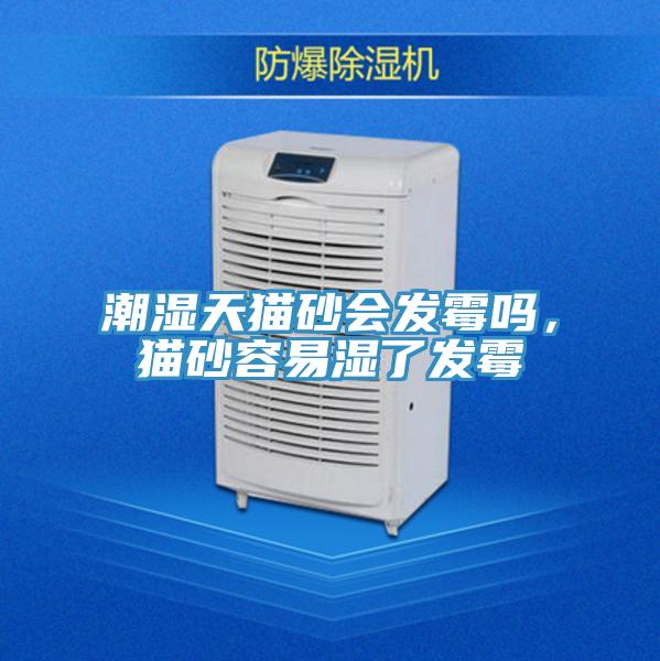 潮濕天貓砂會(huì)發(fā)霉嗎，貓砂容易濕了發(fā)霉