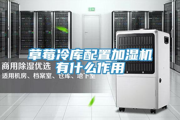 草莓冷庫(kù)配置加濕機(jī)有什么作用