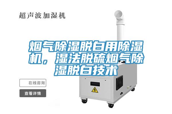 煙氣除濕脫白用除濕機,濕法脫硫煙氣除濕脫白技術