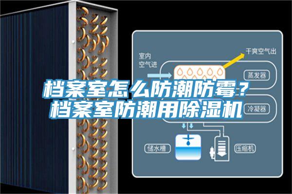 檔案室怎么防潮防霉？檔案室防潮用除濕機(jī)