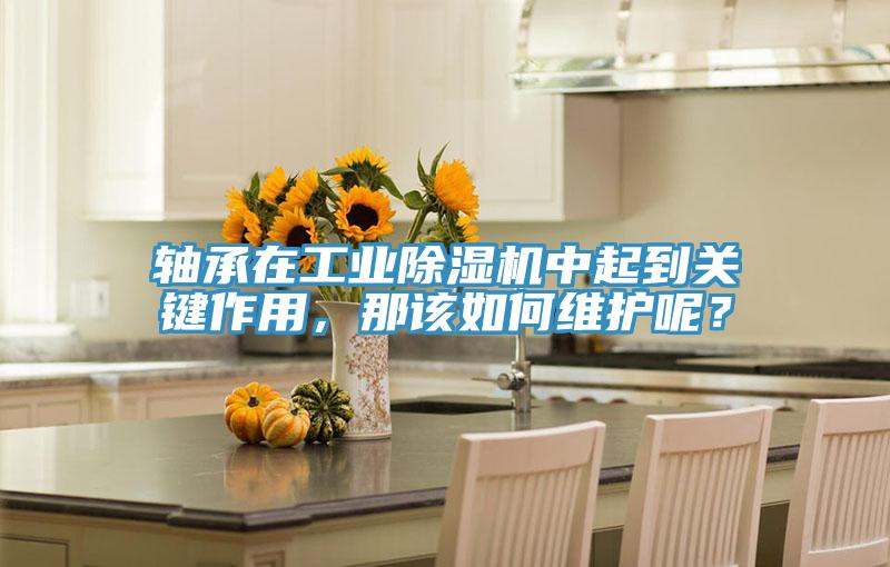 軸承在工業除濕機中起到關鍵作用，那該如何維護呢？