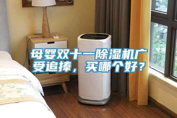 母嬰雙十一除濕機(jī)廣受追捧，買哪個(gè)好？
