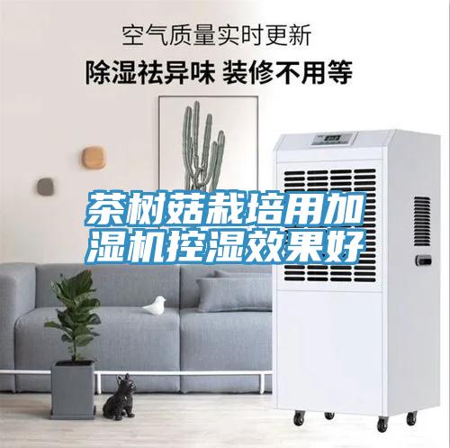 茶樹(shù)菇栽培用加濕機(jī)控濕效果好