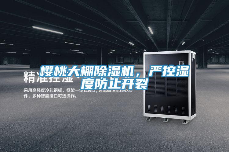 櫻桃大棚除濕機，嚴控濕度防止開裂