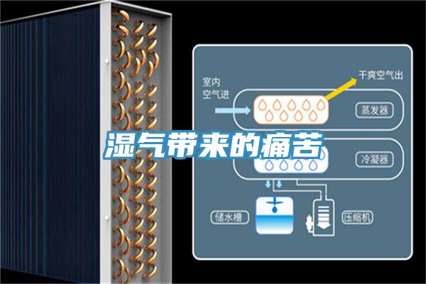 濕氣帶來(lái)的痛苦