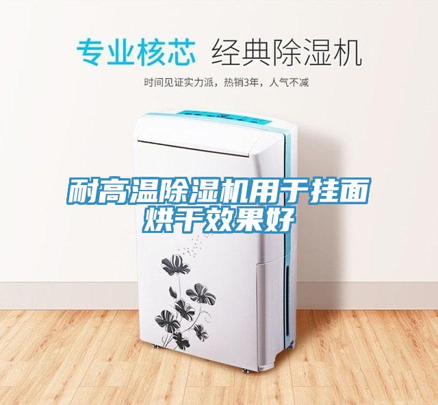 耐高溫除濕機用于掛面烘干效果好
