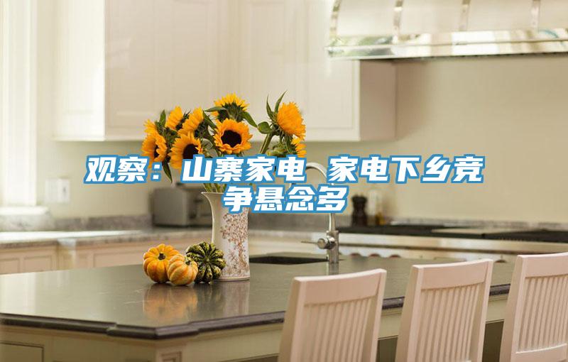 觀察:山寨家電 家電下鄉(xiāng)競爭懸念多