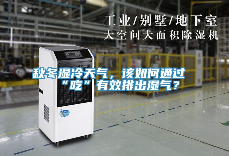 秋冬濕冷天氣，該如何通過“吃”有效排出濕氣？