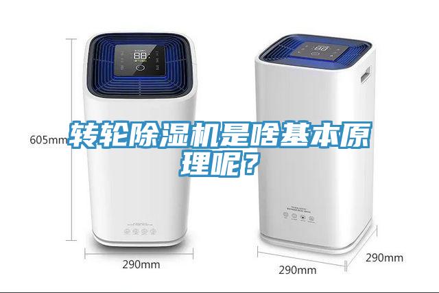 轉輪除濕機是啥基本原理呢？