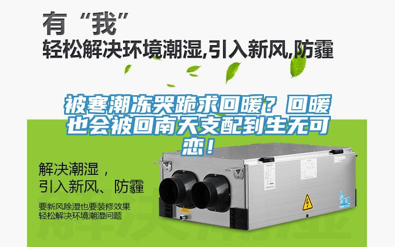 被寒潮凍哭跪求回暖？回暖也會被回南天支配到生無可戀！