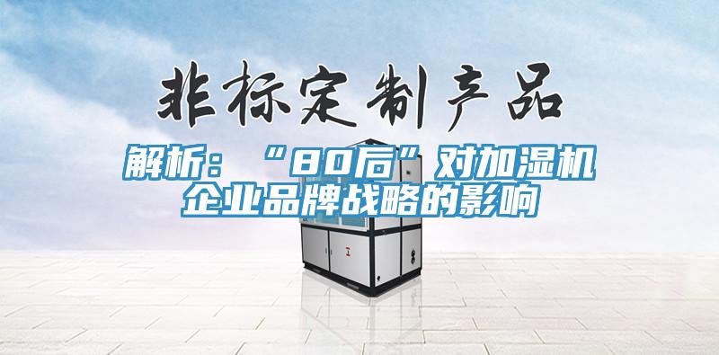 解析：“80后”對加濕機企業品牌戰略的影響