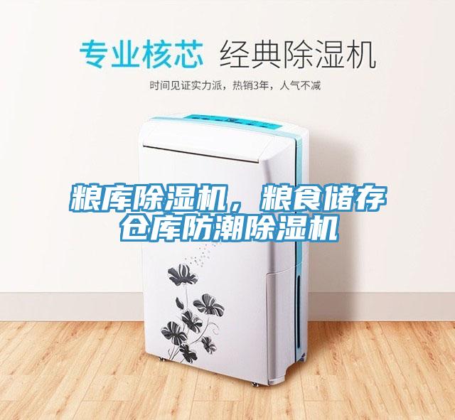 糧庫除濕機(jī)，糧食儲(chǔ)存?zhèn)}庫防潮除濕機(jī)