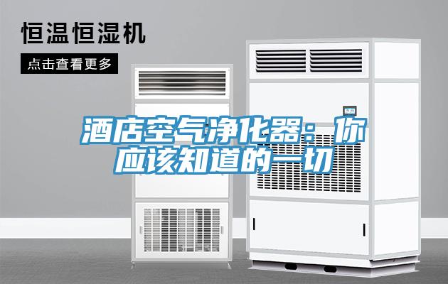 酒店空氣凈化器：你應該知道的一切