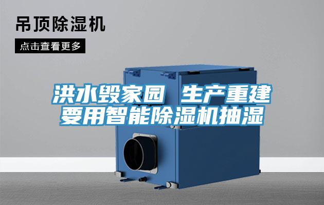 洪水毀家園 生產(chǎn)重建要用智能除濕機(jī)抽濕