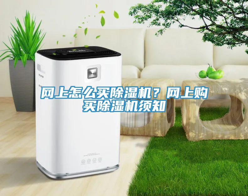 網上怎么買除濕機？網上購買除濕機須知