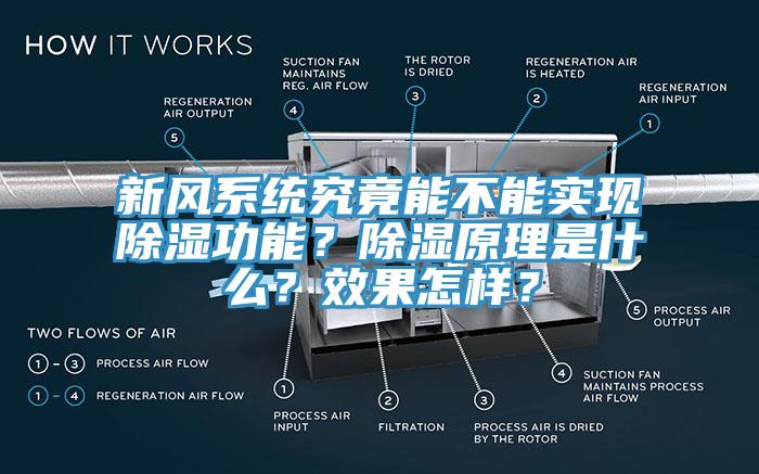 新風系統究竟能不能實現除濕功能？除濕原理是什么？效果怎樣？