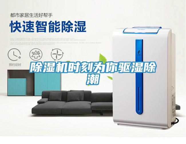 除濕機時刻為你驅濕除潮