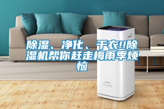 除濕、凈化、干衣!!除濕機(jī)幫你趕走梅雨季煩惱