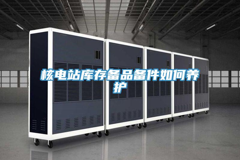 核電站庫存?zhèn)淦穫浼绾勿B(yǎng)護(hù)
